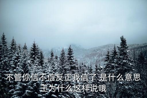 不管你信不信反正我信了 是什么意思王為什么這樣說哦