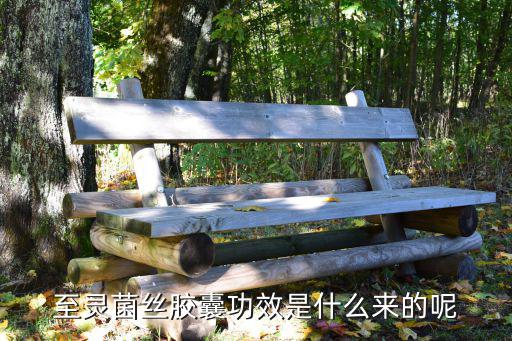 至靈菌絲膠囊功效是什么來的呢