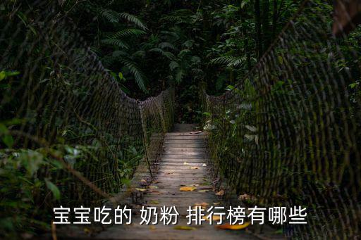 寶寶吃的 奶粉 排行榜有哪些