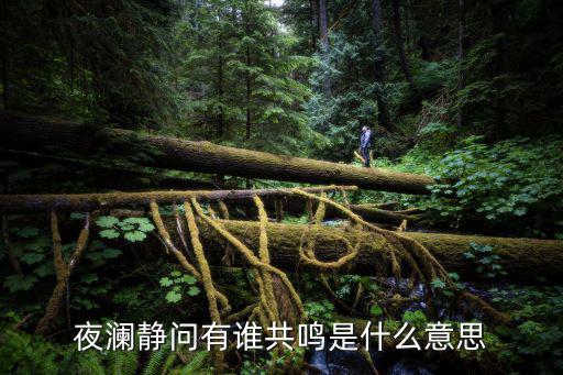 夜瀾靜問有誰共鳴是什么意思