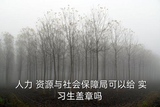  人力 資源與社會(huì)保障局可以給 實(shí)習(xí)生蓋章嗎