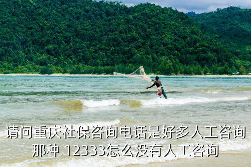 請問重慶社保咨詢電話是好多人工咨詢那種 12333怎么沒有人工咨詢