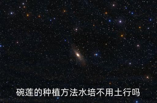 碗蓮的種植方法水培不用土行嗎