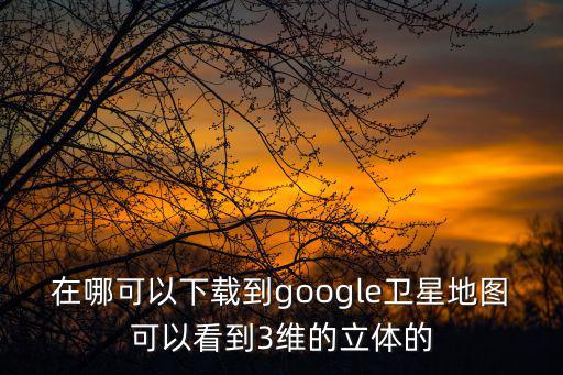 在哪可以下載到google衛(wèi)星地圖可以看到3維的立體的