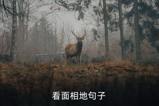 看面相，男生女相 面相如何解釋