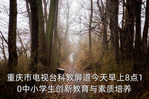重慶市電視臺科教屏道今天早上8點10中小學生創新教育與素質培養