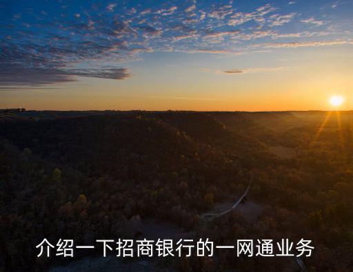 介紹一下招商銀行的一網(wǎng)通業(yè)務(wù)