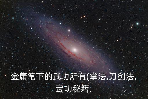 金庸筆下的武功所有(掌法,刀劍法,武功秘籍,