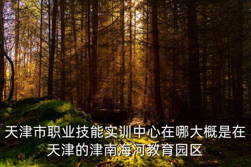 天津市職業技能實訓中心在哪大概是在天津的津南海河教育園區