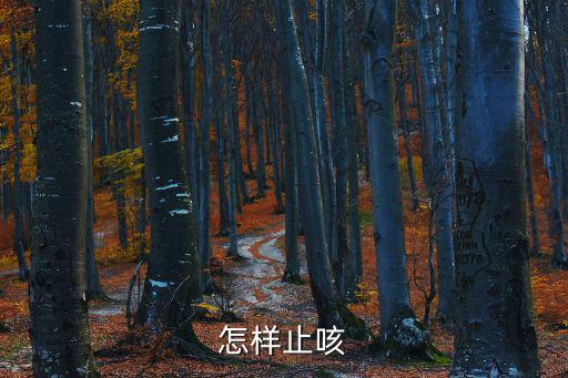 怎樣止咳