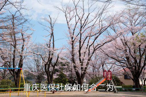 重慶醫保社保如何合二為一