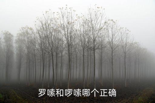 啰嗦,成語啰嗦、婆婆、嫲婆、老公、阿嫲、嫲嫲不要學!