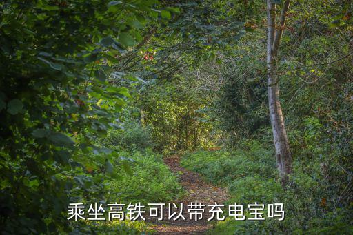 乘坐高鐵可以帶充電寶嗎