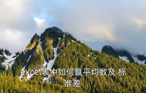  excel表中如何算平均數(shù)及 標(biāo)準(zhǔn)差