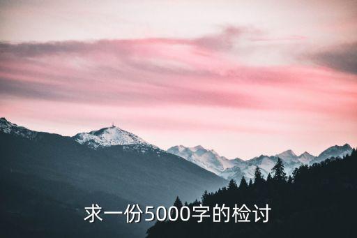 求一份5000字的檢討