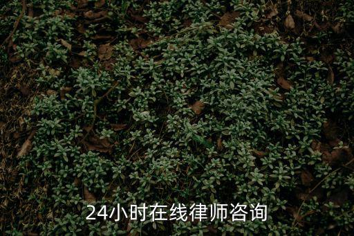 免費咨詢24小時在線律師，24小時在線律師咨詢
