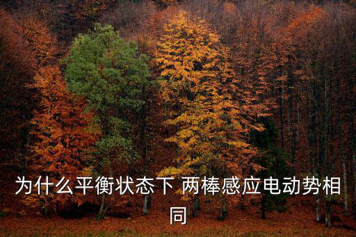 為什么平衡狀態下 兩棒感應電動勢相同