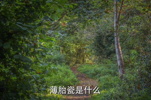 薄胎瓷是什么