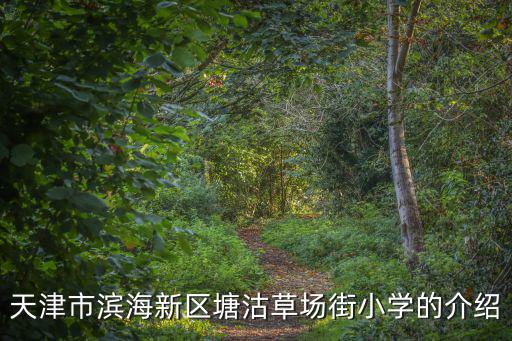 天津市濱海新區(qū)塘沽草場(chǎng)街小學(xué)的介紹