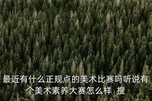 最近有什么正規點的美術比賽嗎聽說有個美術素養大賽怎么樣  搜