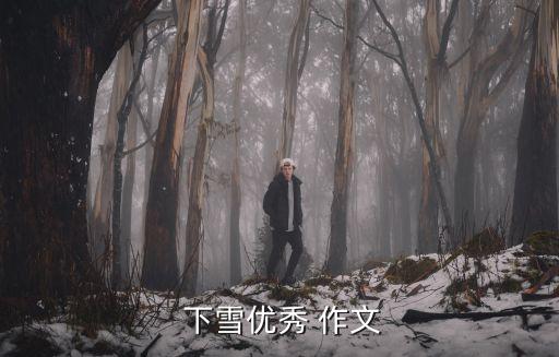 關于下雪的作文,第一集