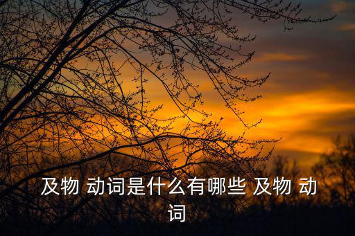 及物動詞有哪些,不及物動詞不能直接加賓語屬于被動