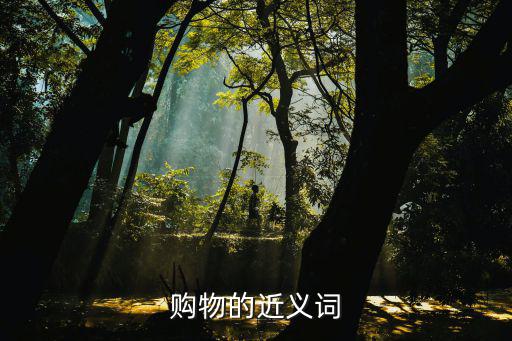購物的近義詞