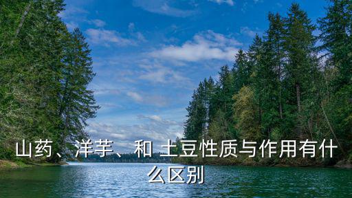 土豆的功效和作用,土豆有助改善情緒和消化功能
