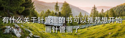 有什么關(guān)于針管畫(huà)的書(shū)可以推薦想開(kāi)始畫(huà)針管畫(huà)了