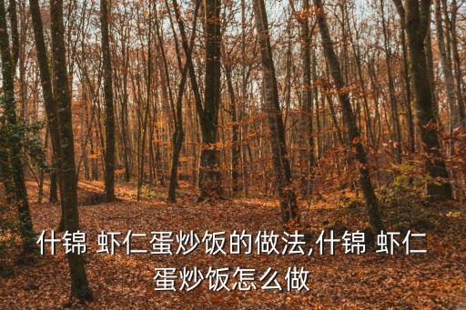 什錦 蝦仁蛋炒飯的做法,什錦 蝦仁蛋炒飯怎么做