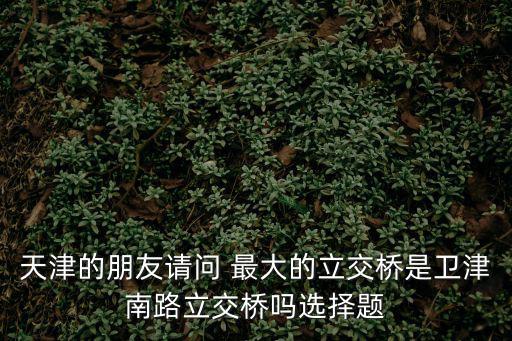 天津市有五層立交橋嗎，天津市有多少座立交橋