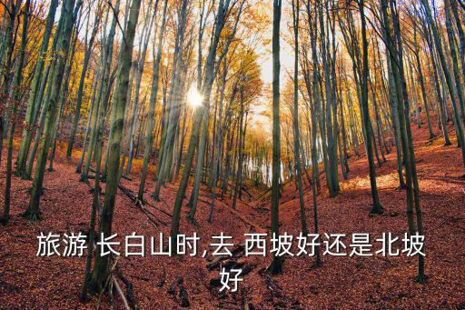 長白山西坡,長白山北坡:東西南北都可到達頂峰