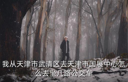 我從天津市武清區去天津市國展中心怎么去坐幾路公交車