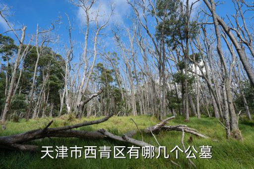 天津市西青區有哪幾個公墓