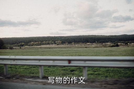 寫物的作文