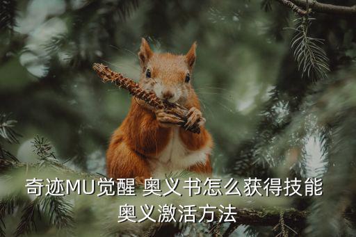 奇跡MU覺醒 奧義書怎么獲得技能 奧義激活方法