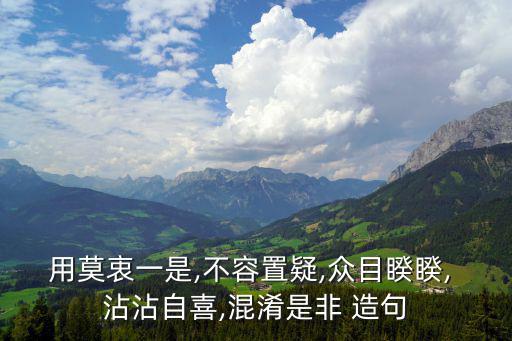 用莫衷一是,不容置疑,眾目睽睽, 沾沾自喜,混淆是非 造句