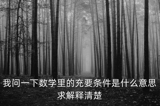 我問一下數(shù)學(xué)里的充要條件是什么意思求解釋清楚