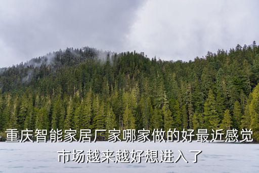重慶智能家居廠家哪家做的好最近感覺市場越來越好想進入了