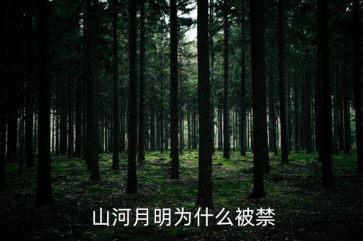  山河月明為什么被禁