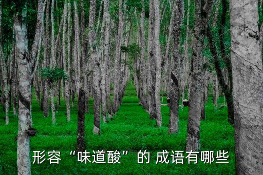 形容“味道酸”的 成語有哪些