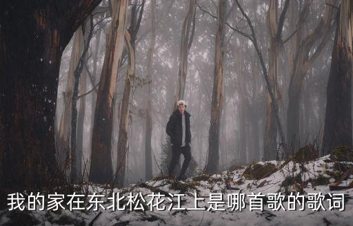 我的家在東北松花江上是哪首歌的歌詞