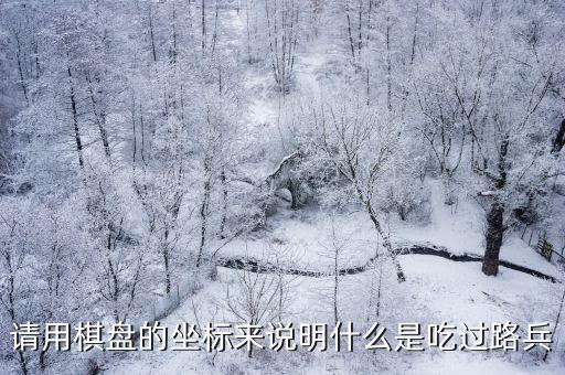 請(qǐng)用棋盤的坐標(biāo)來說明什么是吃過路兵
