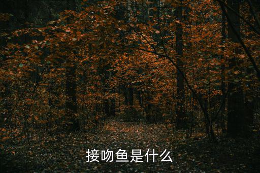 親嘴魚，接吻魚是什么
