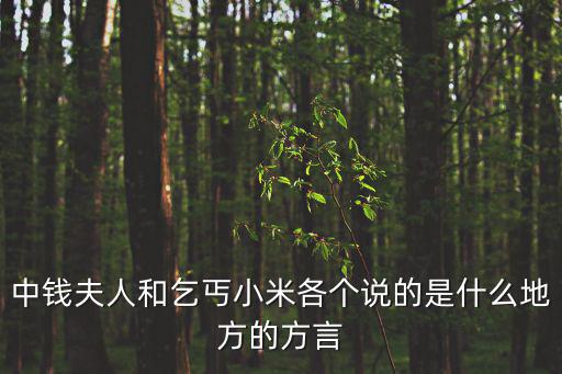 中錢夫人和乞丐小米各個說的是什么地方的方言