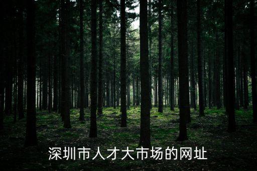 深圳市人才大市場(chǎng)的網(wǎng)址