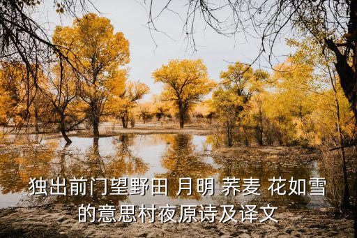 獨(dú)出前門(mén)望野田 月明 蕎麥 花如雪的意思村夜原詩(shī)及譯文
