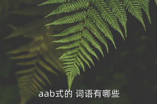 aab式的詞語(yǔ),第二集:毛毛雨，意氣風(fēng)發(fā)麻木,肅然,娃娃魚(yú)