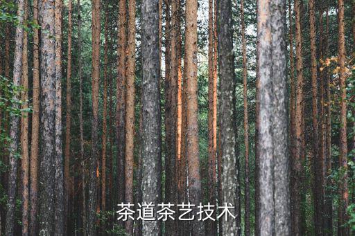 茶道茶藝技術