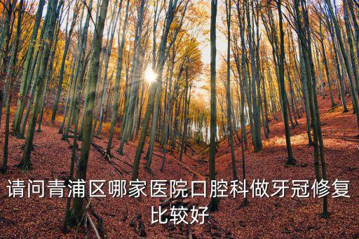 請(qǐng)問(wèn)青浦區(qū)哪家醫(yī)院口腔科做牙冠修復(fù)比較好